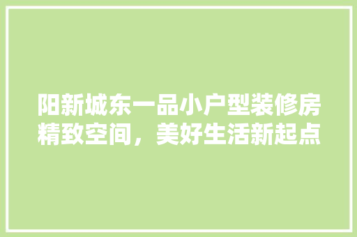 阳新城东一品小户型装修房精致空间，美好生活新起点