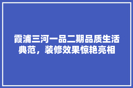 霞浦三河一品二期品质生活典范，装修效果惊艳亮相