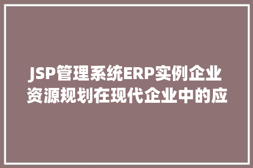 JSP管理系统ERP实例企业资源规划在现代企业中的应用