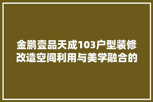金鹏壹品天成103户型装修改造空间利用与美学融合的完美演绎