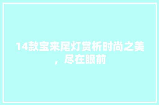14款宝来尾灯赏析时尚之美，尽在眼前