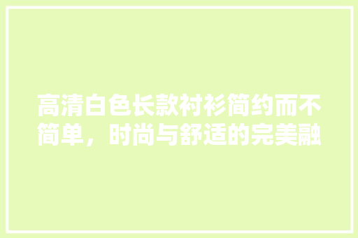 高清白色长款衬衫简约而不简单，时尚与舒适的完美融合
