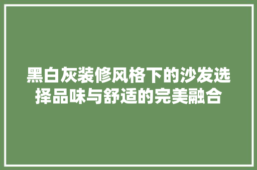 黑白灰装修风格下的沙发选择品味与舒适的完美融合