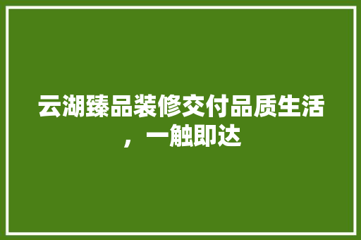 云湖臻品装修交付品质生活，一触即达