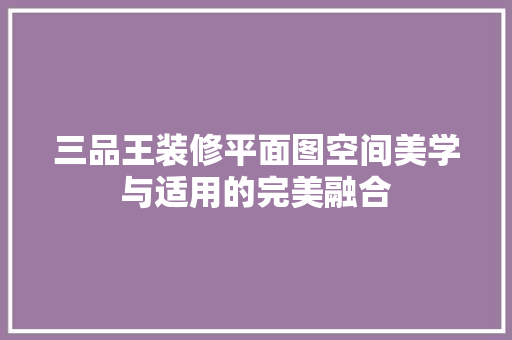 三品王装修平面图空间美学与适用的完美融合