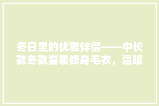 冬日里的优雅伴侣——中长款冬款套装修身毛衣，温暖与时尚并存
