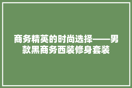 商务精英的时尚选择——男款黑商务西装修身套装