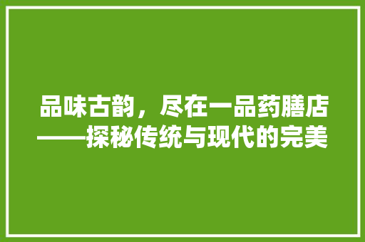 品味古韵，尽在一品药膳店——探秘传统与现代的完美融合