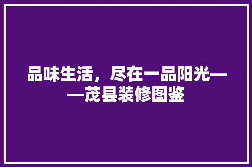 品味生活，尽在一品阳光——茂县装修图鉴