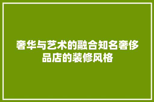 奢华与艺术的融合知名奢侈品店的装修风格