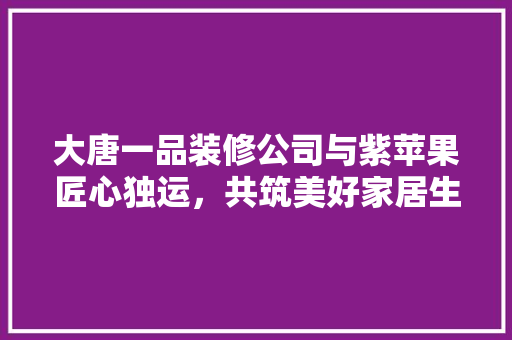 大唐一品装修公司与紫苹果匠心独运，共筑美好家居生活