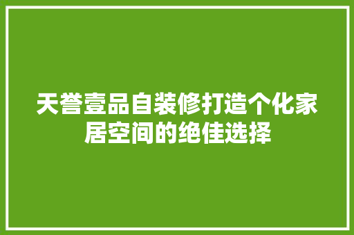 天誉壹品自装修打造个化家居空间的绝佳选择