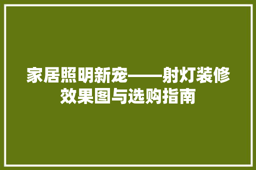家居照明新宠——射灯装修效果图与选购指南