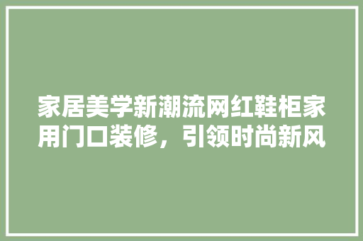 家居美学新潮流网红鞋柜家用门口装修，引领时尚新风尚