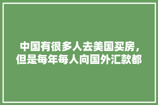 奢华与细腻并存探秘奢侈品皮草精洗店装修艺术