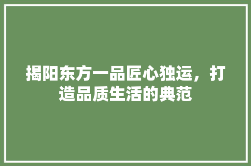 揭阳东方一品匠心独运，打造品质生活的典范