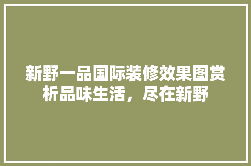 新野一品国际装修效果图赏析品味生活，尽在新野
