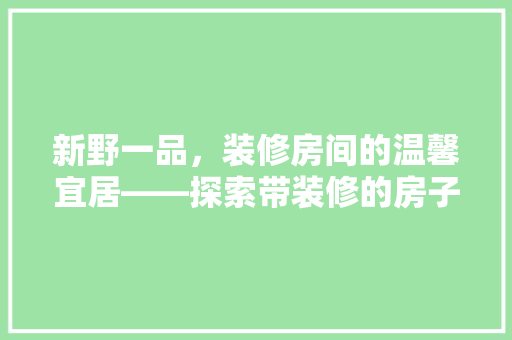 新野一品，装修房间的温馨宜居——探索带装修的房子投资潜力