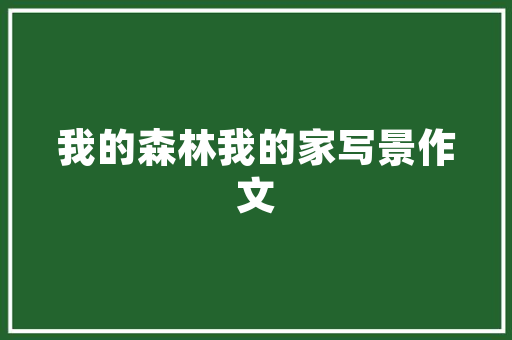焕新驾乘体验——21款卡罗拉车专用装修用品