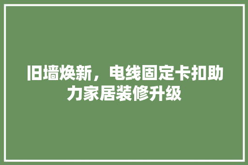 旧墙焕新，电线固定卡扣助力家居装修升级
