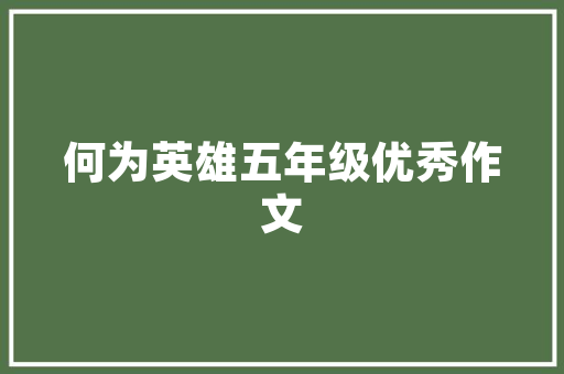 罗定城东一品装修公司匠心独运，打造品质家居新篇章