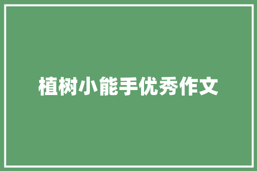 老款思域改装例子探寻经典与现代的完美融合