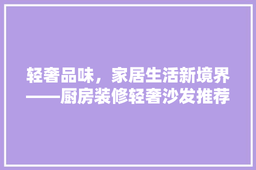 轻奢品味，家居生活新境界——厨房装修轻奢沙发推荐  第1张