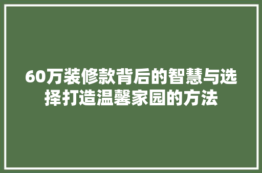 60万装修款背后的智慧与选择打造温馨家园的方法