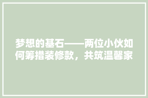 梦想的基石——两位小伙如何筹措装修款，共筑温馨家园