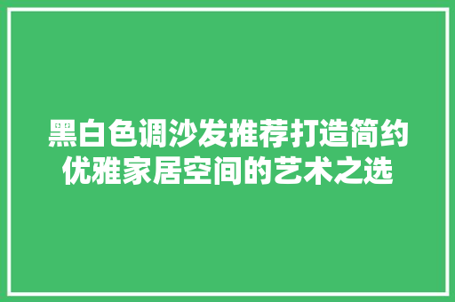 黑白色调沙发推荐打造简约优雅家居空间的艺术之选