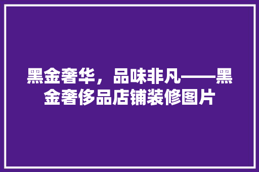 黑金奢华，品味非凡——黑金奢侈品店铺装修图片
