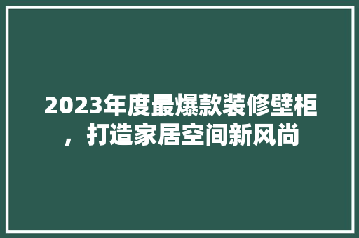 2023年度最爆款装修壁柜，打造家居空间新风尚