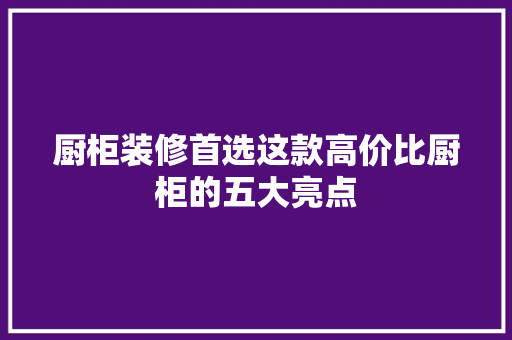厨柜装修首选这款高价比厨柜的五大亮点