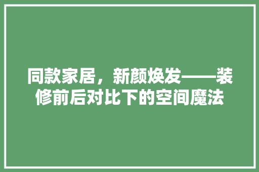 同款家居，新颜焕发——装修前后对比下的空间魔法