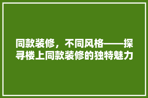 同款装修，不同风格——探寻楼上同款装修的独特魅力