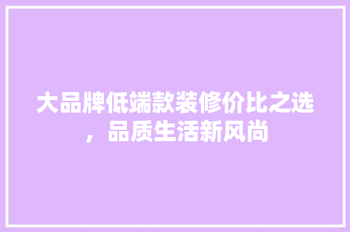 大品牌低端款装修价比之选，品质生活新风尚