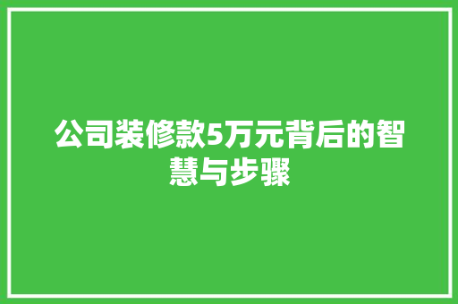 公司装修款5万元背后的智慧与步骤