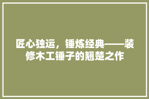 匠心独运，锤炼经典——装修木工锤子的翘楚之作