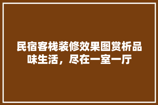 民宿客栈装修效果图赏析品味生活，尽在一室一厅