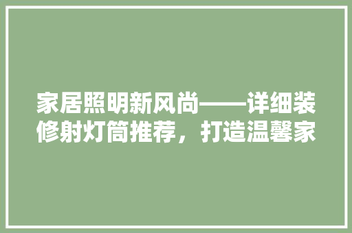 家居照明新风尚——详细装修射灯筒推荐，打造温馨家居氛围