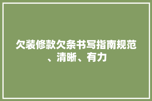 欠装修款欠条书写指南规范、清晰、有力