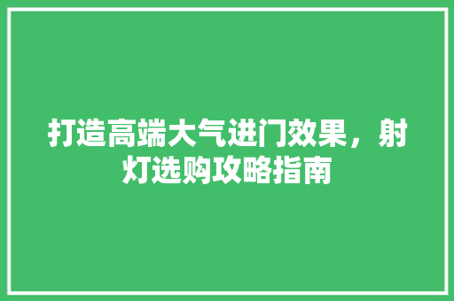 打造高端大气进门效果，射灯选购攻略指南
