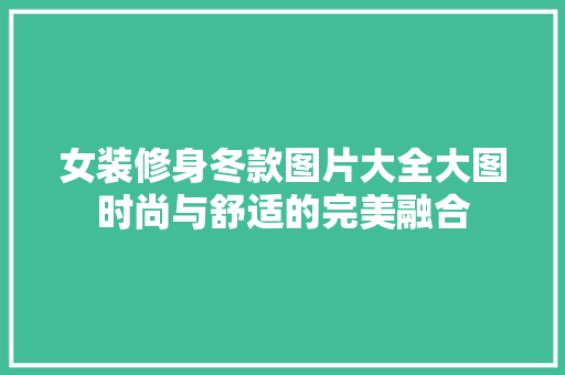 女装修身冬款图片大全大图时尚与舒适的完美融合