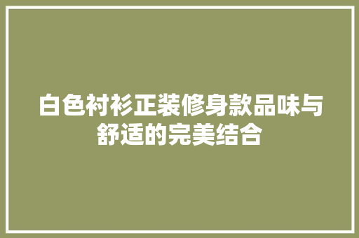 白色衬衫正装修身款品味与舒适的完美结合