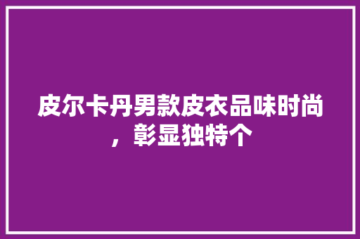 皮尔卡丹男款皮衣品味时尚，彰显独特个