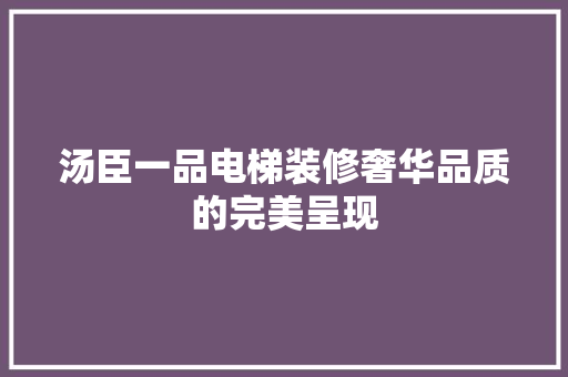 汤臣一品电梯装修奢华品质的完美呈现