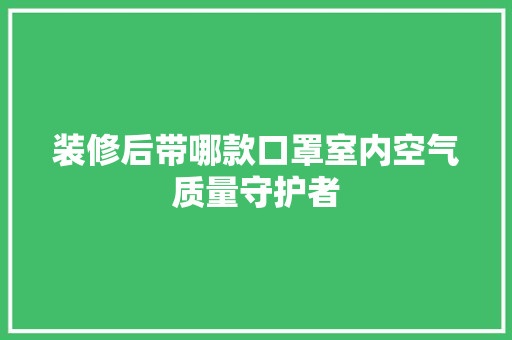 装修后带哪款口罩室内空气质量守护者