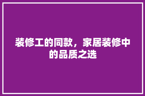 装修工的同款，家居装修中的品质之选