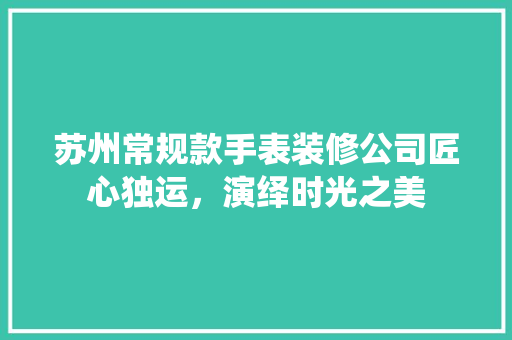 苏州常规款手表装修公司匠心独运，演绎时光之美