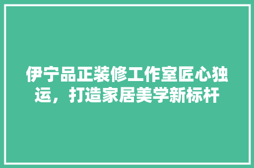 伊宁品正装修工作室匠心独运，打造家居美学新标杆